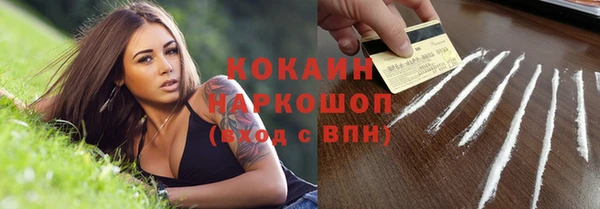 сатива Волоколамск