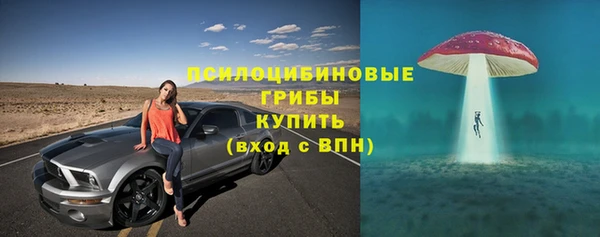 COCAINE Горно-Алтайск