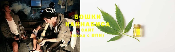 сатива Волоколамск