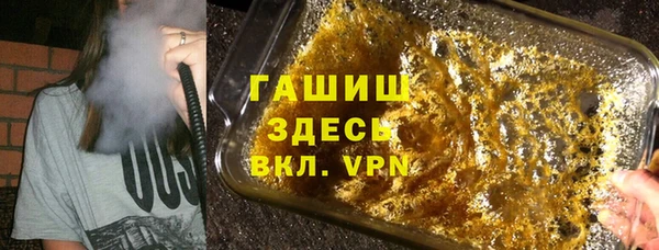 сатива Волоколамск