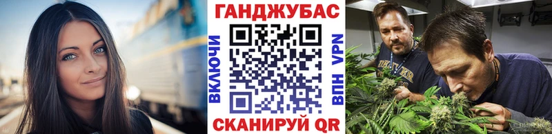 Шишки марихуана семена гидра маркетплейс Жуковка где продают наркотики